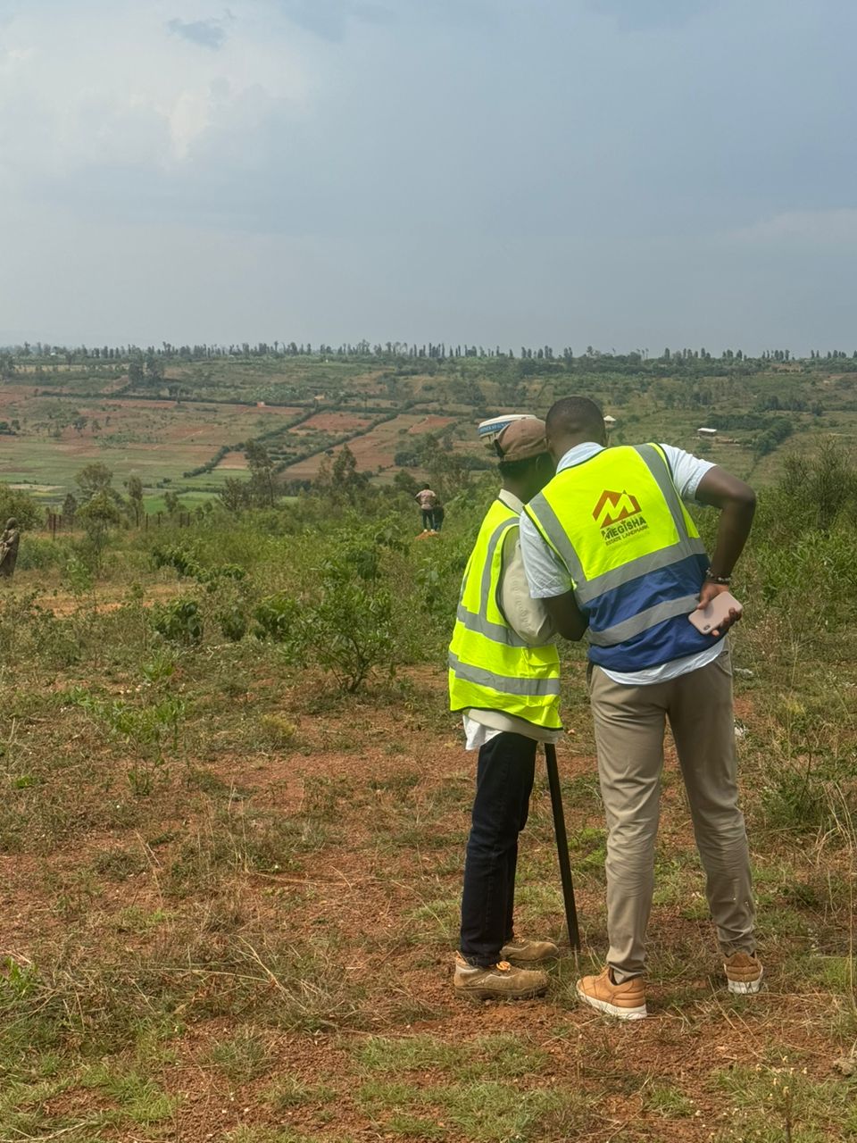 Rural panorama survey